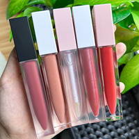 Gloss à lèvres transparent brillant et mat avec différentes nuances, livré avec des autocollants de nom de couleur et des boîtes en carton standard, rouge à lèvres liquide