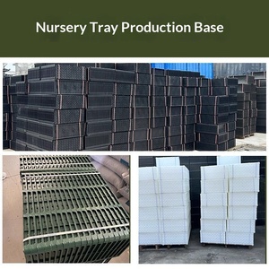 Bandeja de plástico para plántulas de arroz, bandeja de vivero agrícola, bandeja de inicio de cultivo de arroz para plantar - Product Image 6