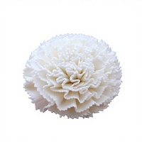 Fleurs de Sola Artisanales Magnifiques et Mixtes, Couleurs Assorties, Décoratives, Modernes, Écologiques, Lot en Gros, Parfum Doux pour la Maison