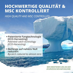 Capsules d'huile de krill antarctique OEM/ODM de haute qualité, oméga 3, gélules d'huile de poisson, favorisent la santé des articulations, favorisent la santé du cerveau. - Product Image 2