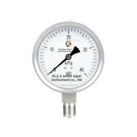 Stainless Steel Diaphragm Pressure Gauge YE-100B High Overpressure KPa Differential Shock-Resistant Single Natural Gas Mainland