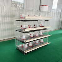 Cage à poussins et poulets de chair à petit prix avec système d'abreuvement automatique à vendre