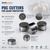 Защитные резцы Drillsoltek PDC для производства долот PDC с длительным сроком службы