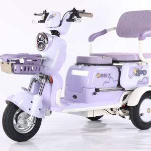 60v 600w תלת אופן חשמלי למבוגרים תחבורה ציבורית - Product Image 2