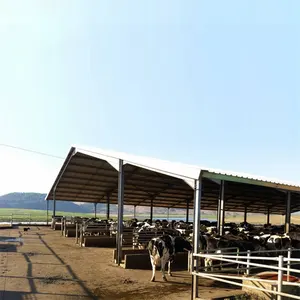 Allevamento di granai costruzione di case per bovini Design struttura prefabbricata in acciaio per vacche da latte capannone per fattoria in metallo a basso costo moderno