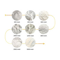 Poudre fine naturelle de carbonate de calcium poussière de roche calcaire antiacide pour les projets de bricolage à la maison pour la texture de la peinture à la craie