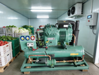 Unité de condensation commerciale pour chambre froide de légumes, solution de réfrigération écoénergétique pour entrepôt frigorifique