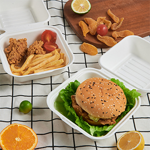 450ml không tẩy trắng mía bã mía thực phẩm container thân thiện với môi nhà compostable phân hủy sinh học vỏ sò hộp thực phẩm nhỏ - Product Image 3