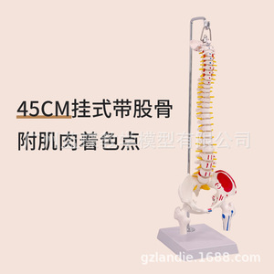 45CM - Product Image 1