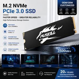PUSKILL M.2 2280 NVMe SSD untuk Laptop Notebook PS5 PCIe 3.0 Internal Solid State Drive Upgrade 3D NAND - Product Image 1
