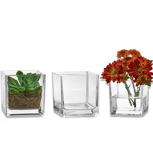 Aeofa vaso quadrado transparente, enfeite de recipiente hidropônico de vidro quadrado