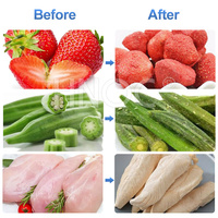 Hnoc Industriële 50Kg 100Kg 500Kg Capaciteit Fruit Vriesdroger Bevriezing Sublimatie Droogmachine