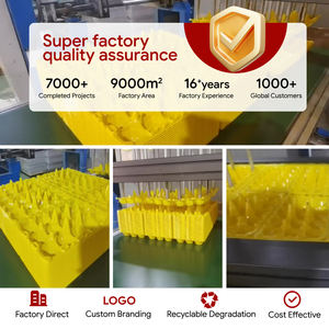 Одноразовый 30 отверстие прозрачный лоток для яиц ПЭТ пластиковая блистерная коробка упаковка - Product Image 6