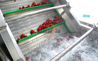 Kersen-tomaat vortex fruitwasmachine fruit sorteerder abrikozen sorteermachine bubbelwasser groente- en fruitreinigingslijn