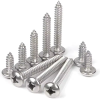 M2 M3 M4 M5 M6 M8 M10 A4 DIN7981 Acier inoxydable Ss 304 316 Vis autotaraudeuses personnalisées à tête cruciforme cruciforme pour bois