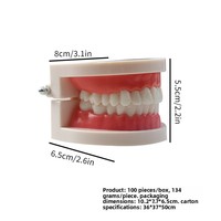 Modèles anatomiques dentaires, modèles de dents, aides pédagogiques pour empreintes dentaires, modèles de cavité buccale pour la pratique du brossage en maternelle