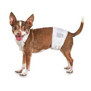 पुरुष कुत्ते के डायपर-शोषक पुरुष कुत्ते के लिए लीक सुरक्षा, उत्तेजक पेशाब, पालतू डायपर के साथ पुरुषों के लिए पेट बैंड लपेटता है - Product Image 5
