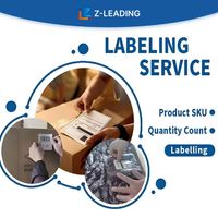 Shenzhen International Logistics Co. Ltd. Agente de Envío Rentable, Transporte Internacional de Mercancías Peligrosas de Italia a Hong Kong