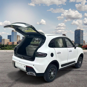 Veicolo Elettrico Multifunzione a Bassa Velocità Prodotto in Cina 2025 per Donna Anziana, Regalo, Utilizzabile come Golf Cart, Scooter per Mobilità, Auto Usata - Product Image 4