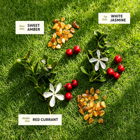 Individuelles Logo Weißer Jasmin Amber Duschgel für Frauen, Feuchtigkeitsspendende Formel mit Weißem Jasmin und Süßem Amber Duft