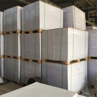 Papier offset crémeux sans bois de haute qualité, non couché, 55 g/m², 60 g/m² pour l'impression de Bibles et de livres fins