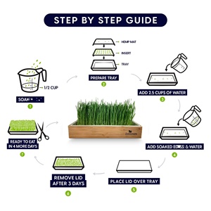 Kit d'herbe à chat auto-arrosante écologique de style campagnard, plateau compatible lave-vaisselle pour la maison, le jardin, le sol, les centres commerciaux, <span class=keywords><strong>en</strong></span> bambou - Product Image 3
