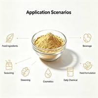 Extrait pur d'angélique chinoise (Angelica sinensis) en vrac pour la production cosmétique – Direct usine