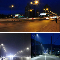 Gisun-Lampe de rue principale, éclairage extérieur étanche IP65 50w 100w 150w 200w Cobra Cob Led Street Light