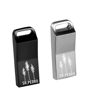 OEM Mini Metal Flash sürücü anahtarlık Flash bellek su geçirmez 32gb 16gb 8gb 4gb Ub 2.0 3.0 flash Disk