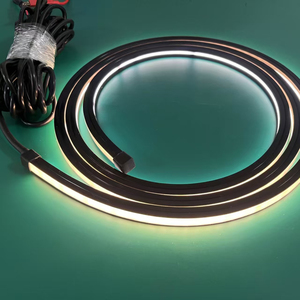 Chất lượng cao cao CRI 95 Đen Neon <span class=keywords><strong>Flex</strong></span> <span class=keywords><strong>LED</strong></span> Strip 10*10mm 12V 24V 10x10mm 10mm Silicone ống <span class=keywords><strong>Led</strong></span> Strip ánh sáng <span class=keywords><strong>Flex</strong></span> Đen Neon - Product Image 2