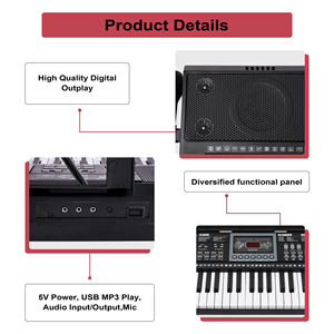 Piano numérique électronique portable BD MUSIC BD-670 à 61 touches avec éclairage LED, orgue électrique, clavier en plastique, instrument avec haut-parleur intégré - Product Image 2