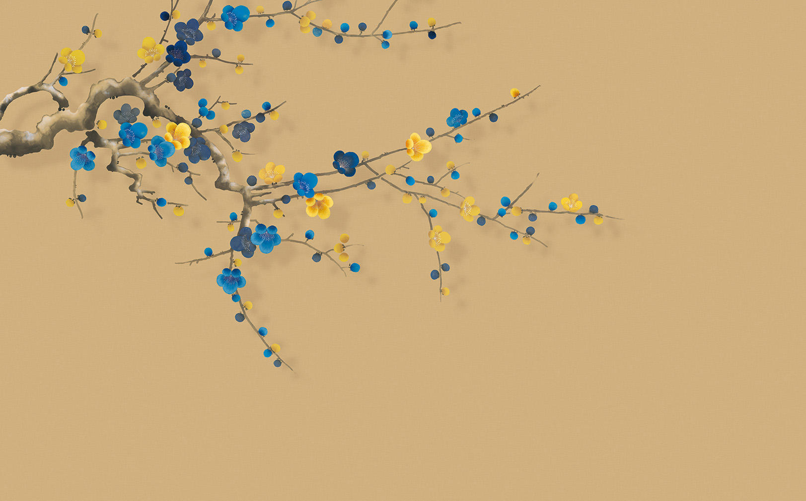 CX22021-A   CX22021-A :