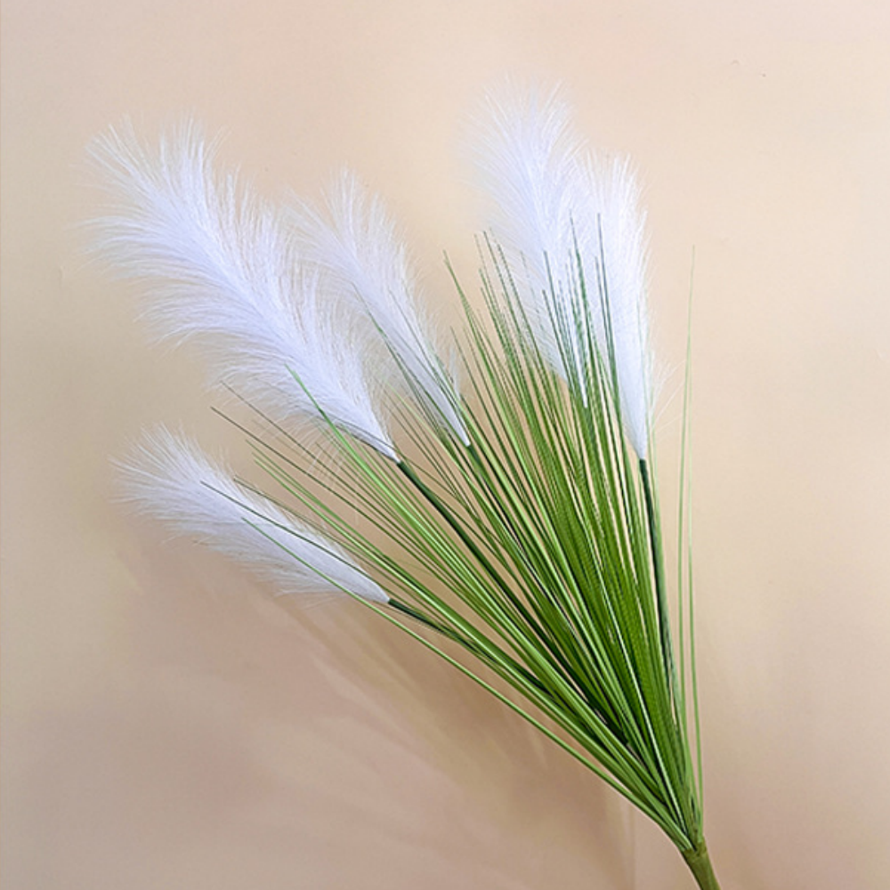 Blanc/5 roseaux
