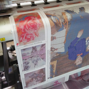 LS, venta al por mayor, 60x45CM, 5d, Diy, taladro completo, Cuadrado redondo, Gallo mansaloriano, Kit <span class=keywords><strong>de</strong></span> pintura <span class=keywords><strong>de</strong></span> diamantes, Hobby DIY - Product Image 3