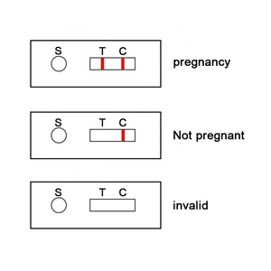 Kit de <span class=keywords><strong>Test</strong></span> de grossesse rapide pour cochon, adapté aux animaux de vache et du cochon, animaux, 10 pièces - Product Image 3