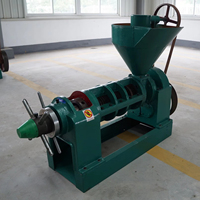 Équipement d'extraction d'huile de palme et d'arachide pressée à froid YZYX95, ligne de production d'huile comestible de haute pureté, vente chaude au Kenya