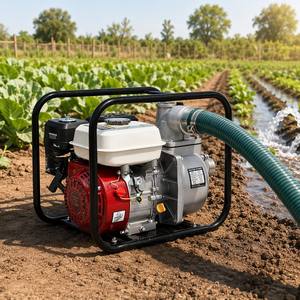 Bomba de Agua Centrífuga a Gasolina de Fácil Operación para Agricultura, 7HP, Estructura de Control de Fuente Hidráulica, Garantía de 3 Años - Product Image 3