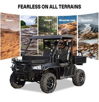 Vehículo Todoterreno Tipo Buggy Quad UTV, Robusto, para Transporte Agrícola, Patrullaje de Sitios, Actividades Deportivas al Aire Libre