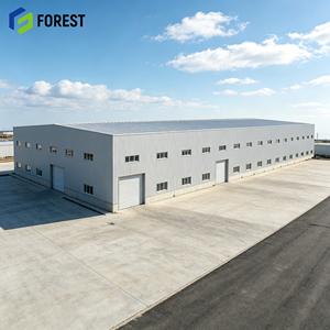 Nave Industrial de Acero Estructural Galvanizado de Gran Altura para Almacenamiento y Distribución de Mercancías Pesadas - Product Image 1