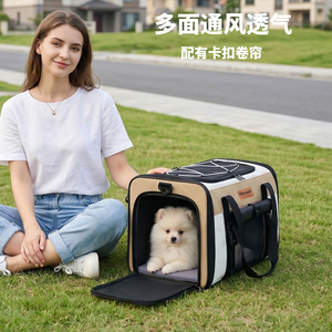 Sac de transport transparent en maille souple pour animaux de compagnie, noir, en nylon, avec fermeture éclair, motif chat de dessin animé, forme carrée, taille L pour chats - Product Image 5