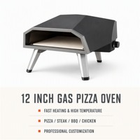 Four à pizza professionnel au propane en acier inoxydable O-16G-S 16 pouces avec commande tactile et pierre rotative manuelle pour camion de restauration mobile