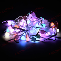 Guirnalda de Luces Inteligente con Control por Aplicación, Impermeable IP65, Programable para Contornos de Edificios y Jardines