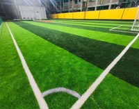 China Hochwertiges Zertifikat Fußballplatz Rasen 40mm 50mm 60mm Synthetic Football Frass Probe Outdoor für Play gournd