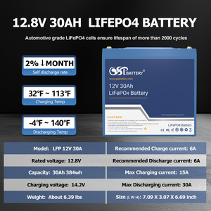 Batterie GSP 12V 30Ah LiFePO4 rechargeable pour stockage d'énergie solaire, voiture électrique pour enfants, alimentation de secours UPS, camping, 2000 cycles - Product Image 6