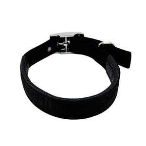 Verstellbares Nylon-Hunde halsband mit Metalls chnalle Robuste Hunde halsbänder für kleine mittelgroße Hunde - Product Image 3