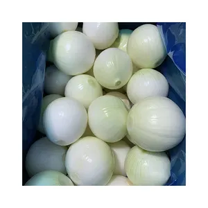 Fresh Vegetable China Supplier Rich Nutrition White Onions Bulk Fresh Onions