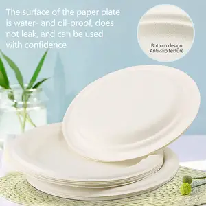 ECO FRIENDLY PRODUCTS Biodegradable Paper Plates Disposable Cutlery Plates Bagasse Tableware