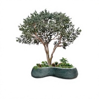 Arbre artificiel en olivier de grande taille personnalisé NINI - Résistant aux UV, durable, ignifuge, design moderne pour une utilisation en intérieur/extérieur