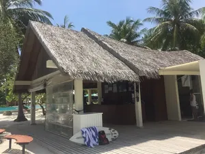 Chaume artificielle <span class=keywords><strong>de</strong></span> conception traditionnelle <span class=keywords><strong>de</strong></span> bon effet naturel pour le pavillon UV <span class=keywords><strong>de</strong></span> protection <span class=keywords><strong>de</strong></span> station balnéaire <span class=keywords><strong>de</strong></span> <span class=keywords><strong>Bali</strong></span> - Product Image 4