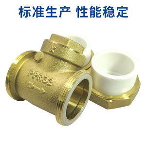 Clapet anti-retour en laiton Mori River PPR32 4/6 pouces DN20/25 pour tuyau d'eau horizontal, structure à une seule palette - Product Image 4